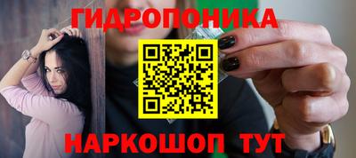прущие крисы Кимры