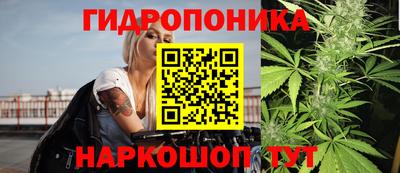 прущие крисы Кимры